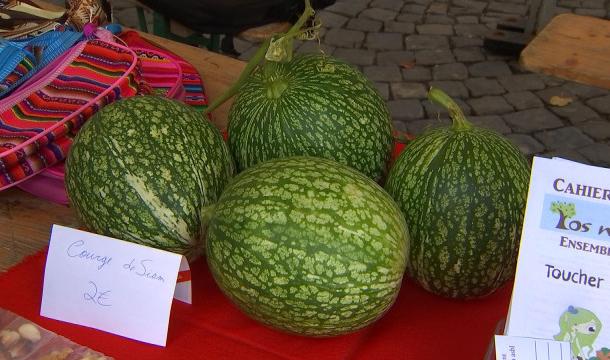 Les Petits Producteurs, lauréats de CREaFARM