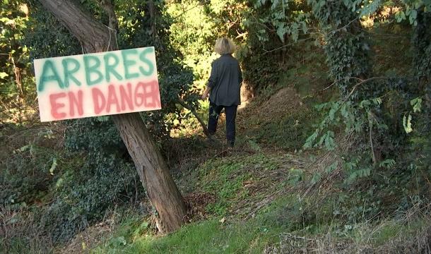 Les riverains de Cointe tracassés par un projet immobilier renaissant dans le Bois d'Avroy