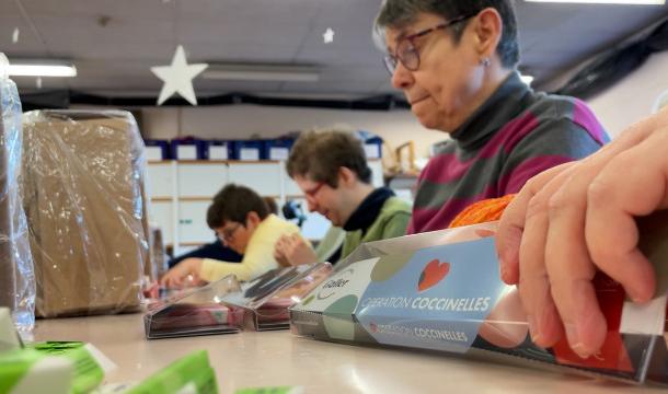 Opération coccinelles : une 40e édition un peu moins chocolatée