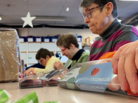 Opération coccinelles : une 40e édition un peu moins chocolatée