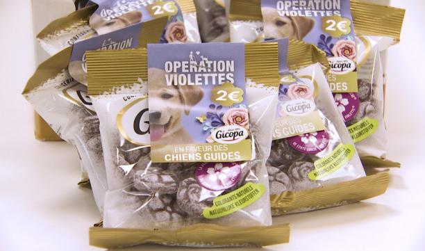 Opération Violettes en faveur des chiens guides 