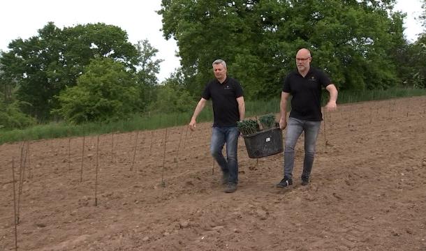 Vivardent plante ses vignes à Sprimont