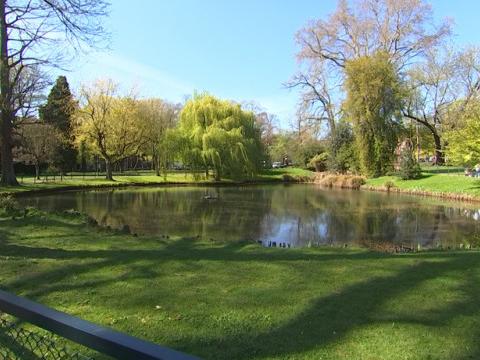 Projet de restauration du jardin botanique 