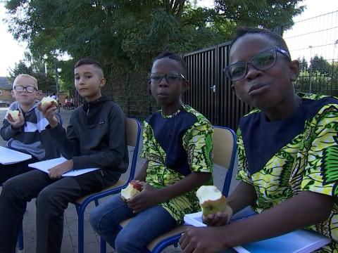 Rentrée : des fruits et des légumes à l'école 