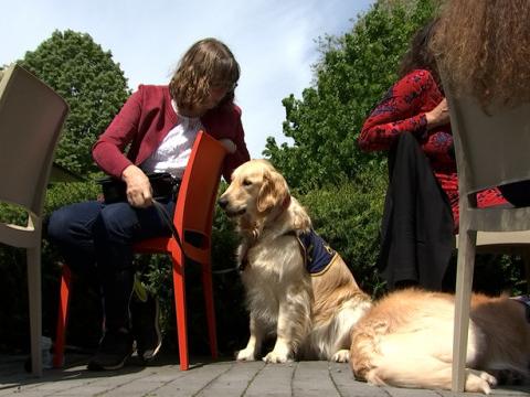 Seraing dit oui aux chiens d’assistance 