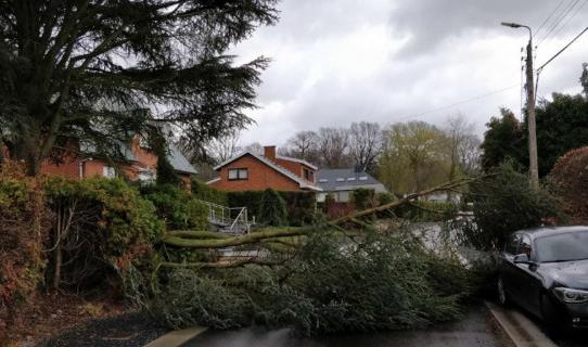 Tempête : 1841 appels au 1722 en région liégeoise 