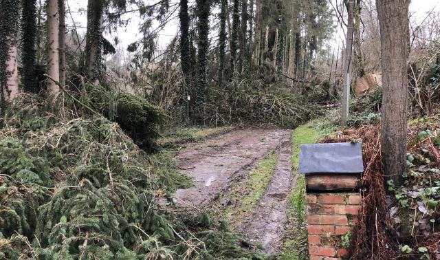 Tempête : une cinquantaine d'interventions des pompiers liégeois