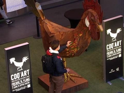 Un coq à remplumer en plein coeur de Liège