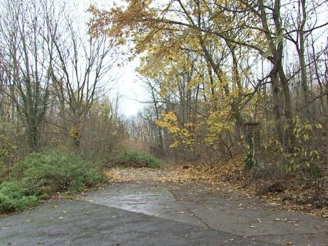 Un crowdfunding pour préserver si nécessaire la Chartreuse et les autres espaces verts liégeois
