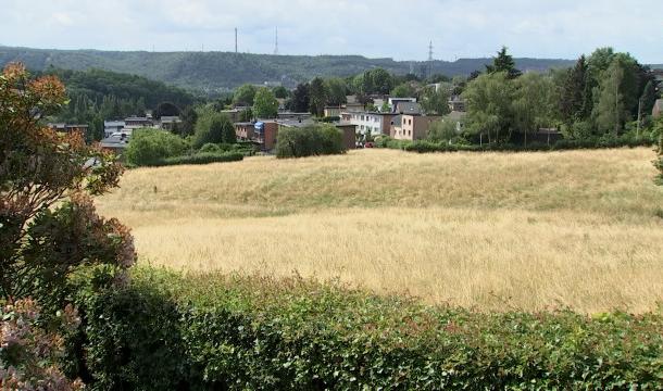 Un projet immobilier sur la prairie des Bruyères inquiète les riverains à Cointe