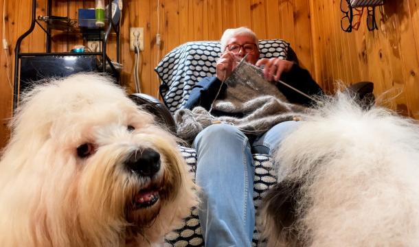 Un pull qui a du chien pour le Prince Laurent !