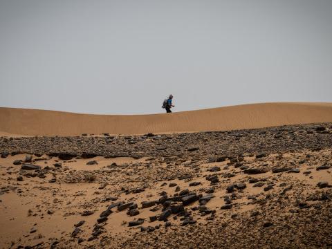 Un triathlon de 3 000 kilomètres Paris-Sahara pour lutter contre l'arthrose
