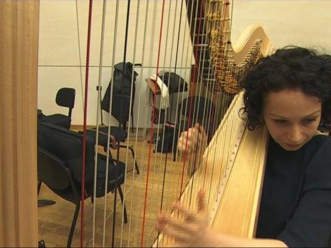 Une nouvelle harpe pour l'Opéra 