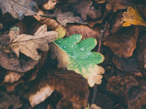 Une semaine au sec avant le retour de la pluie vendredi