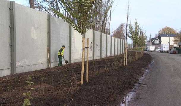 Vottem : 1800 plantations en bordure d'autoroute
