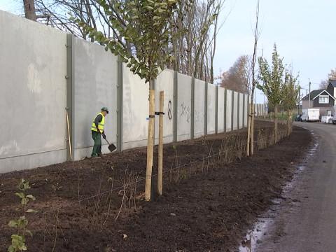 Vottem : 1800 plantations en bordure d'autoroute