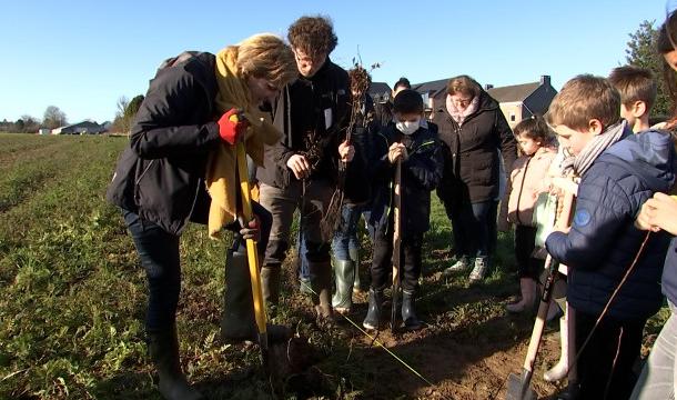 Yes, we plant! : Une haie pour le Pedibus à Amay