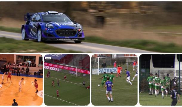 Zapping sports : une bête de course à Hannut
