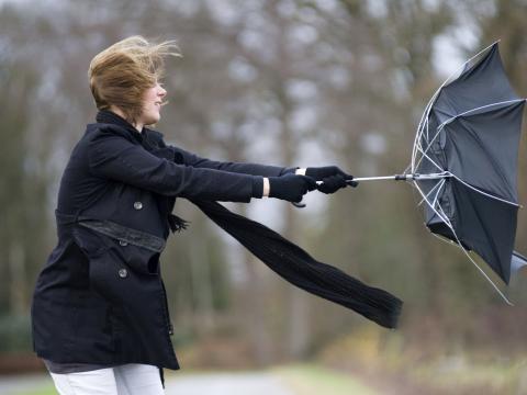 Fortes rafales de vent attendues ce jeudi. Les communes prennent des mesures