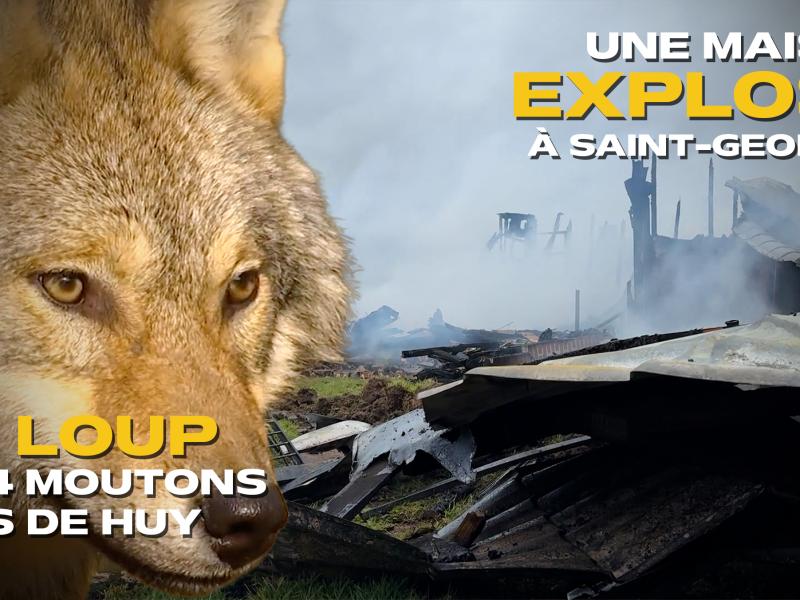 Les actus de la semaine en province de Liège