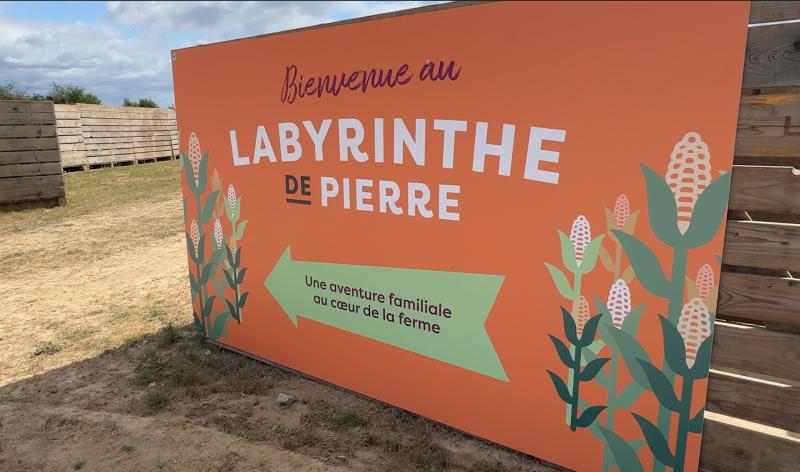 La ferme Le Maire à Verlaine rassemble autour d'un labyrinthe