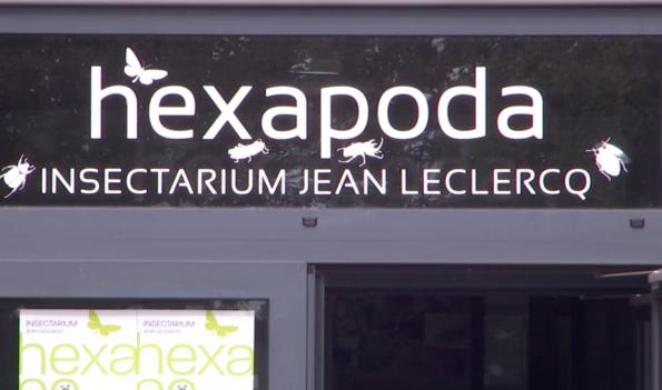 Waremme pourrait bientôt accueillir toutes les collections d'insectes de la Belgique francophone