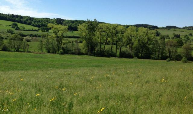 A Hamoir, une nouvelle réserve naturelle