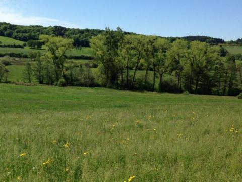 A Hamoir, une nouvelle réserve naturelle