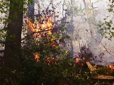 Imprudence de bÍ»cherons et feu de forêt à Flémalle, 