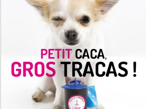 Liège : petit caca, gros tracas et 175 euros d'amende 