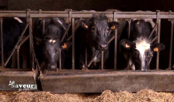 Saveurs de chez nous : Ferme du Culot à Saint-Georges
