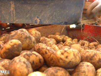 Saveurs de chez nous : la ferme Derivaux