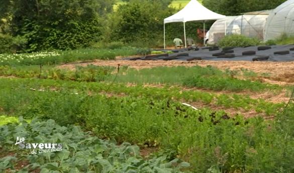 Saveurs de chez nous : Le Jardin des Sourdans
