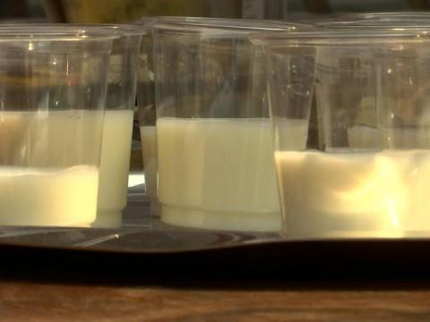 Producteurs laitiers : la crise du lait toujours bien réelle