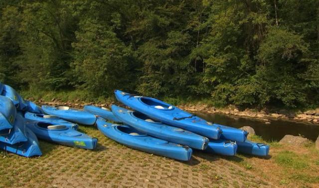 Kayak : le bilan n'est pas très gai