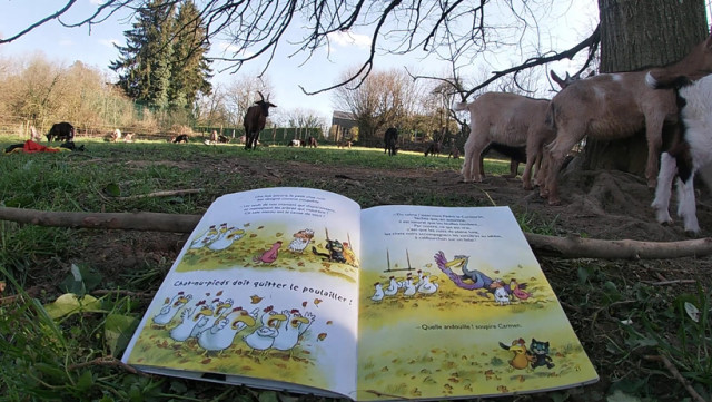 La ferme à histoires à la Ferme du Haya