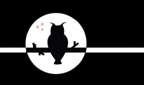 Les animations pour la Nuit de l'Obscurité