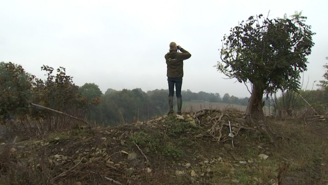 Lincent: la réserve naturelle s'agrandit et change de nom