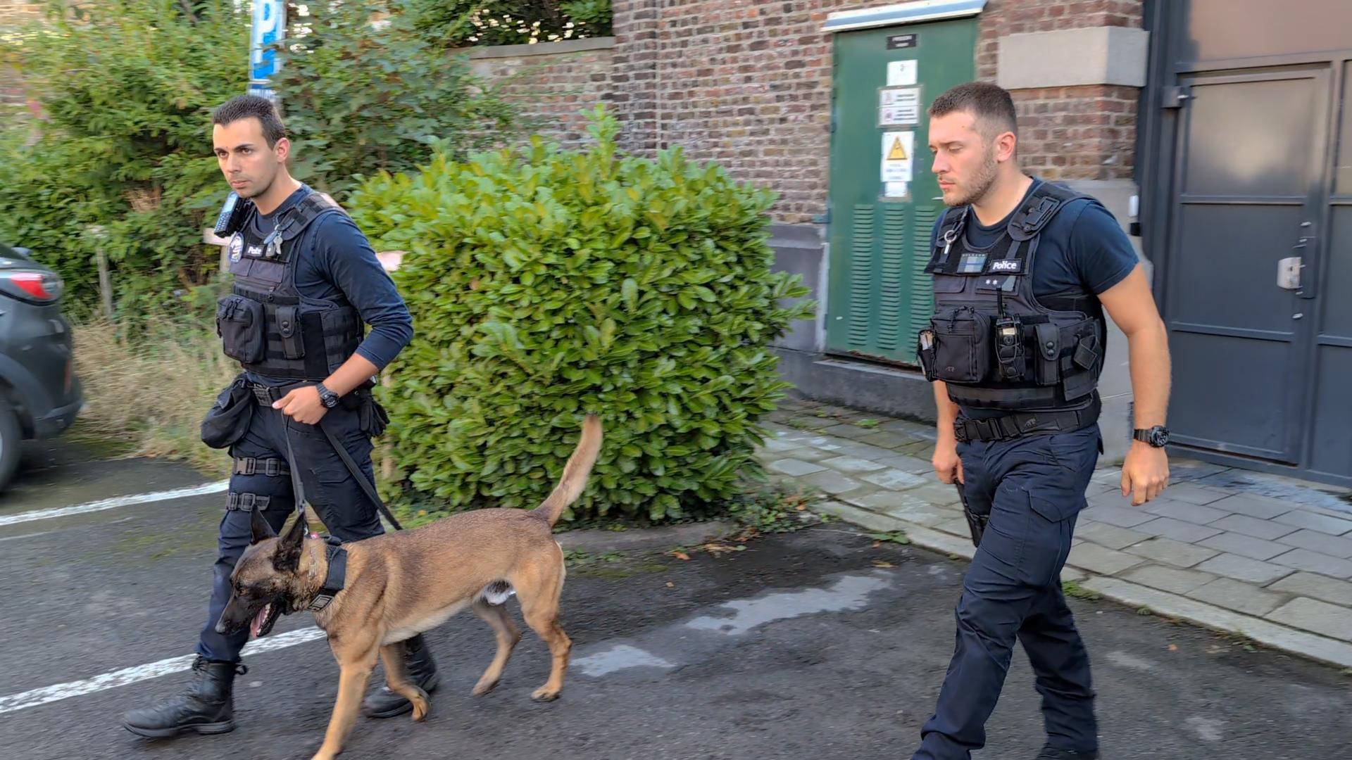 Deux chiens pour renforcer les rangs de la police de Huy