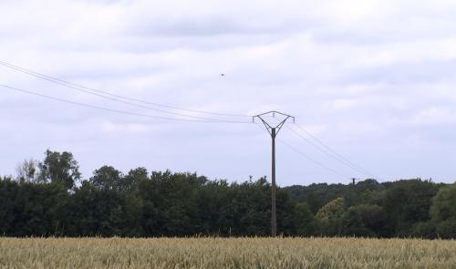 Pour surveiller ses lignes à haute tension, RESA fait désormais appel à des drones en Hesbaye