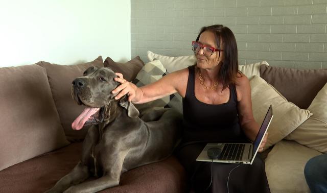 Voyager avec un chien XXL, c'est possible!