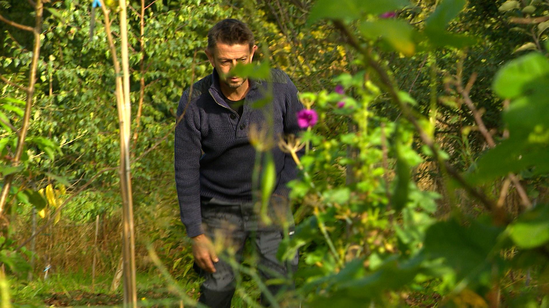 Festival des Jardins Forêts : 2 sites liégeois participent