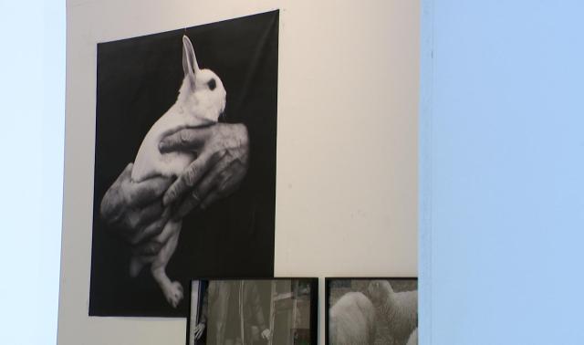 L’esprit Doisneau interprété par la nouvelle génération
