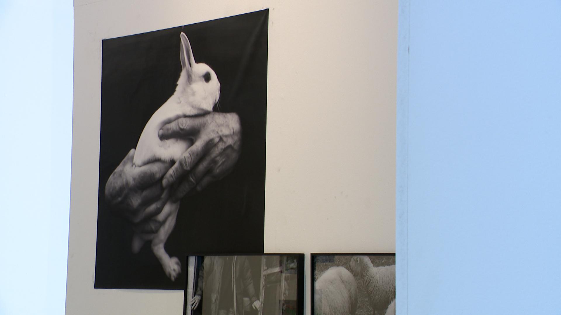 L’esprit Doisneau interprété par la nouvelle génération
