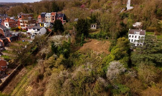 Côteaux de la Citadelle : pas d'élagage sans autorisation même pour l'Evêché