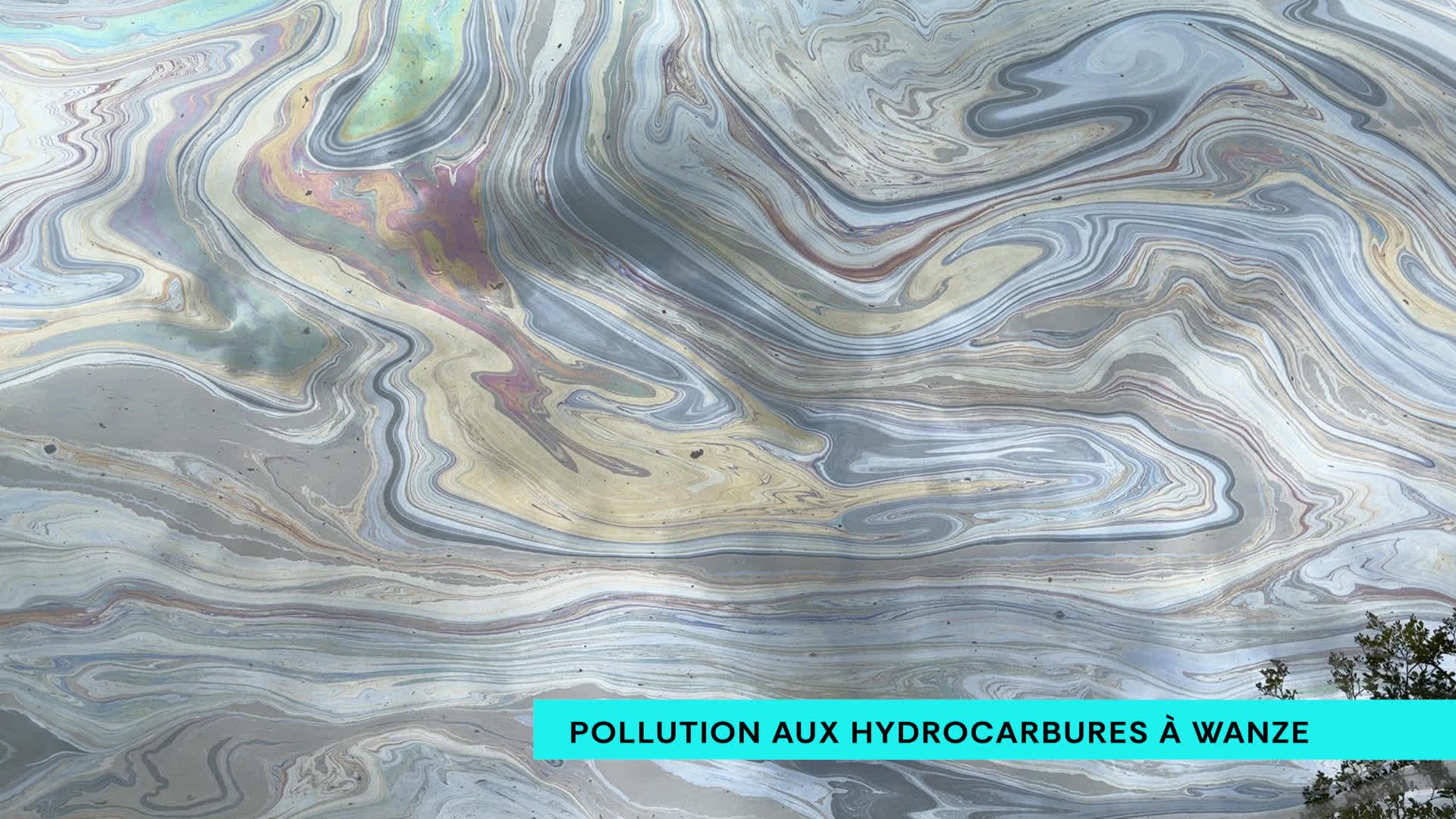 Pollution aux hydrocarbures dans la Meuse à Bas-Oha (Wanze) : "Ça peut être de l'huile ou du mazout"