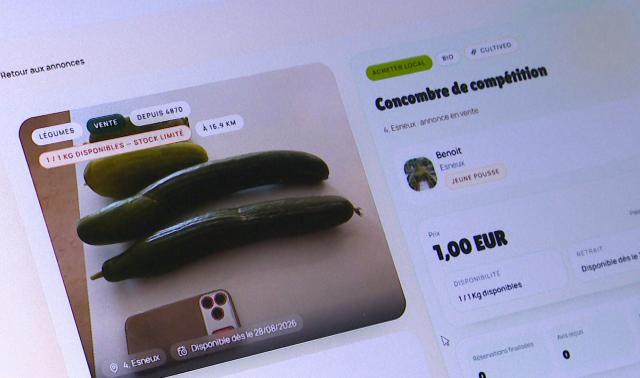 Cultiveo : une plateforme pour échanger le surplus de ses récoltes