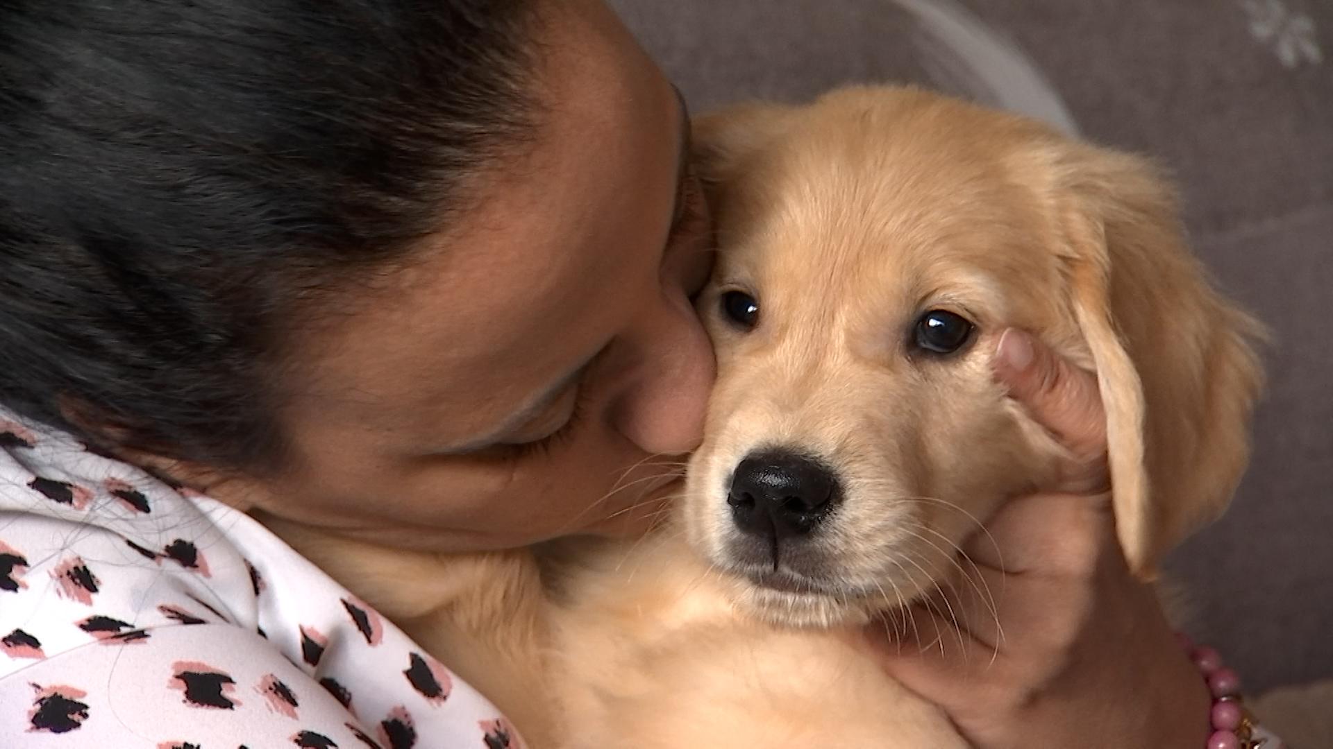 Accueillir son chiot