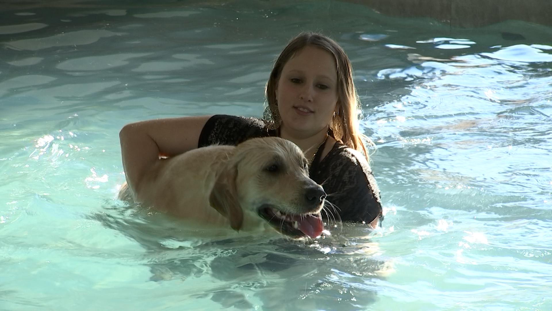Découverte du centre Aqua-Dog