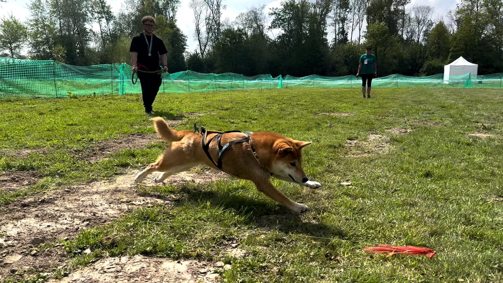 La course sur leurre